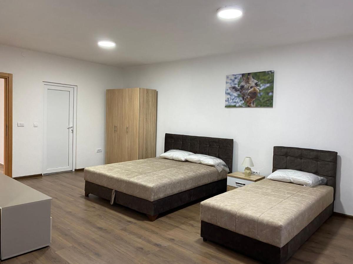 Vila Centar Mb Bed & Breakfast Sjenica Exterior photo